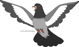 © 2102 Andi Schoenbaum