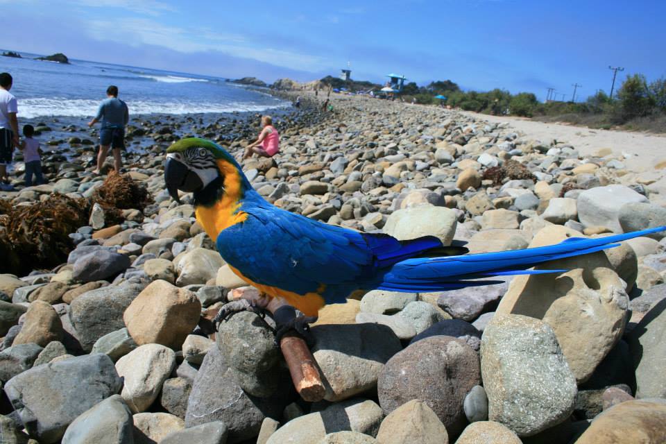 1391449_291448860980195_1620514625_n