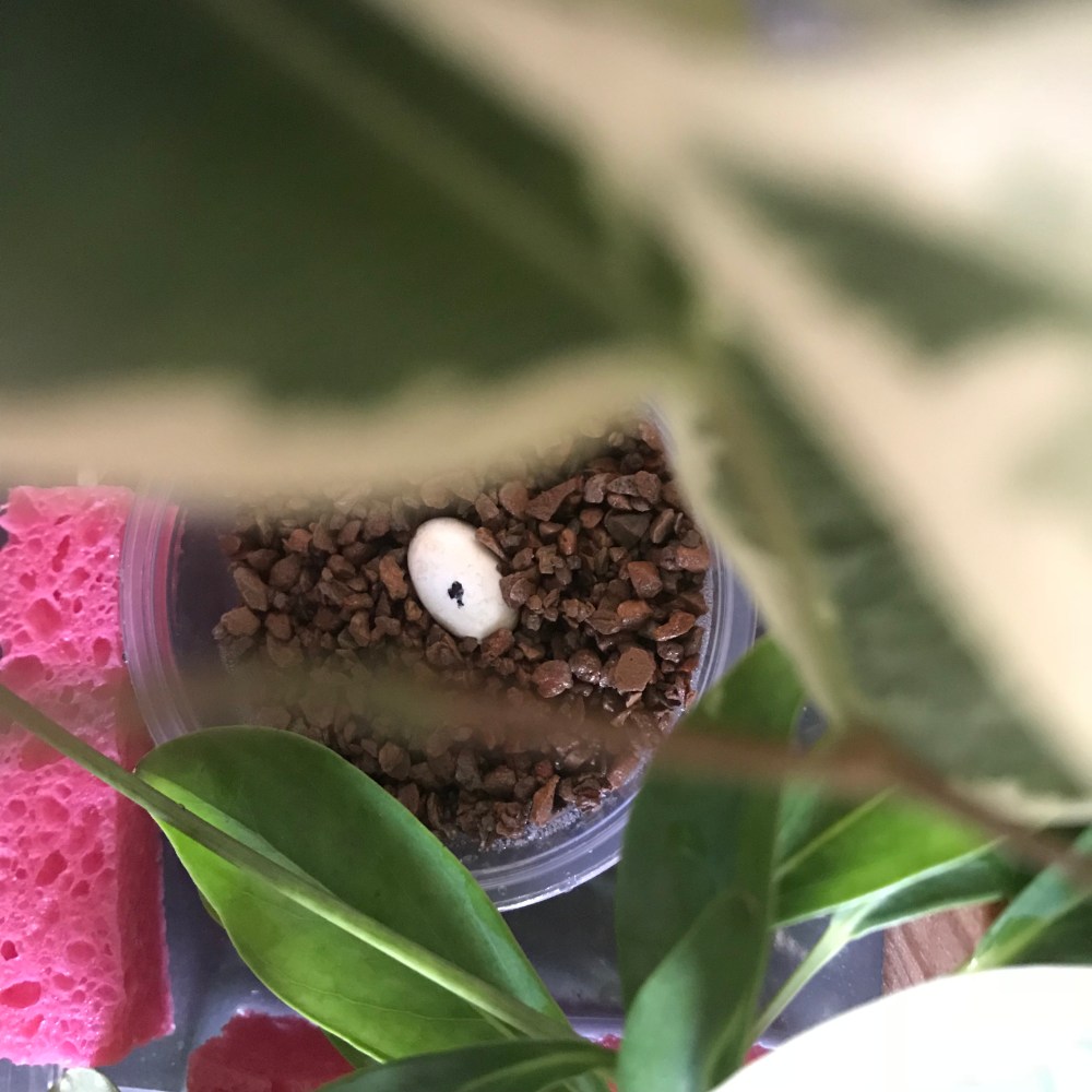 18485F5C-9502-49A0-A41D-41DCBA185D8E