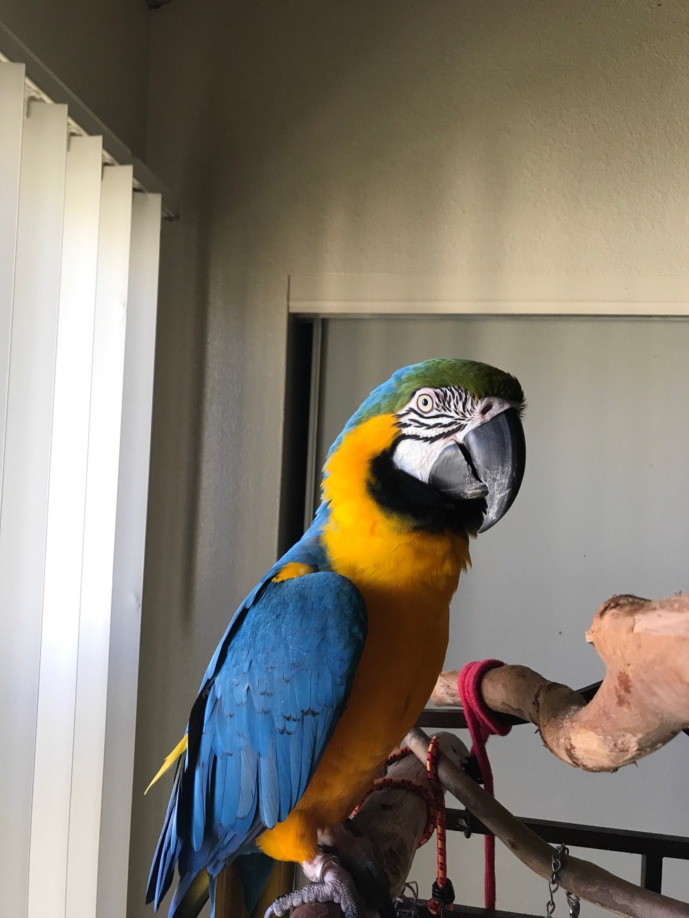 8fe51a43-a871-400b-b429-7f2837376063-1801-00000177833c6ff9_file-1